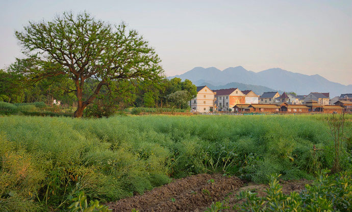 荻浦村