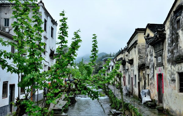 芹川古村风景美图