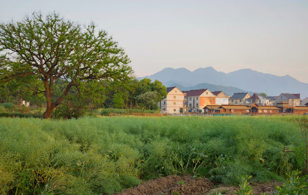 荻浦村风景美图