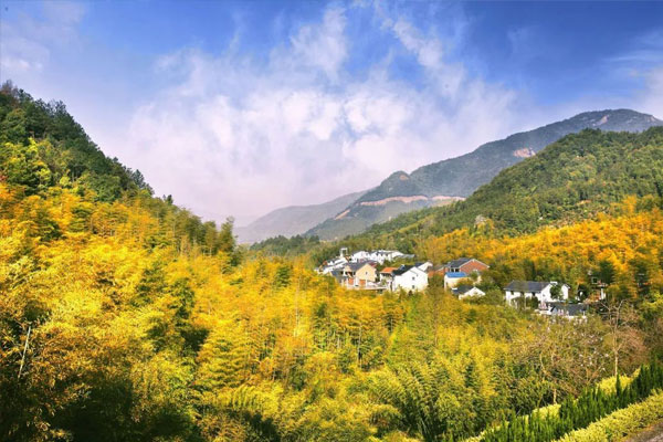 余杭区黄湖镇青山村 - 艺术乡建