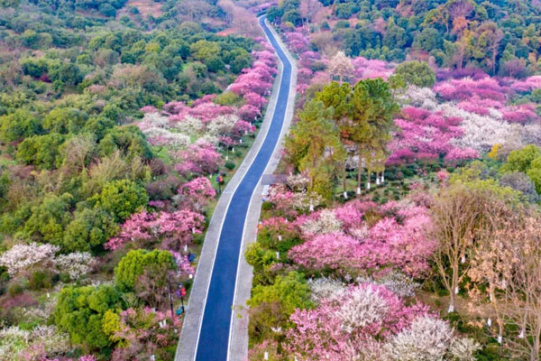 超山环线绿道