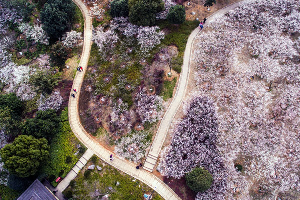 超山风景区